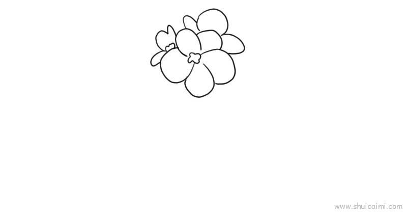 紫罗兰儿童画怎么画 紫罗兰简笔画好看