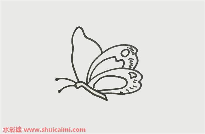 蝴蝶怎么画 一笔一画教蝴蝶简笔画彩色