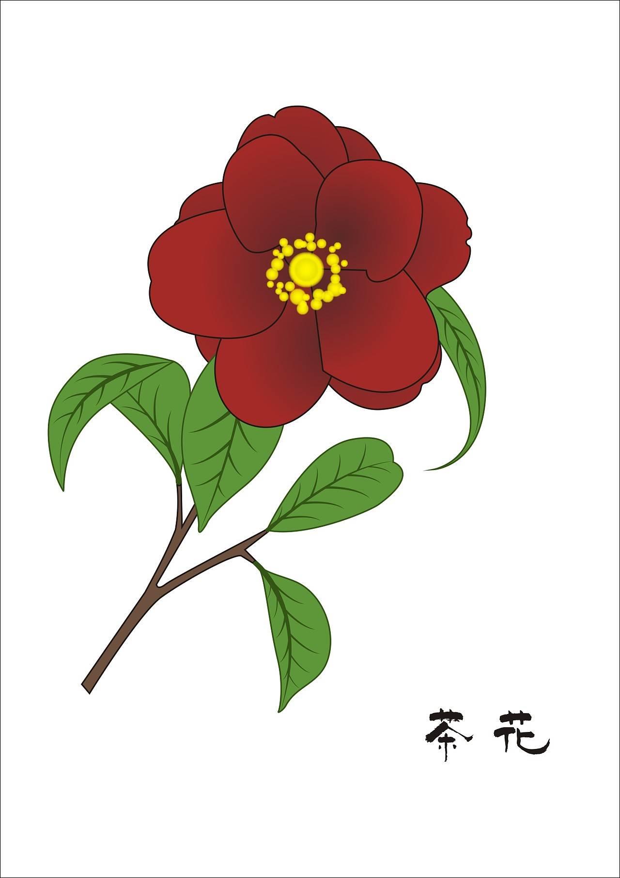 山茶花简笔画图片大全 山茶花简笔画图片大全彩色