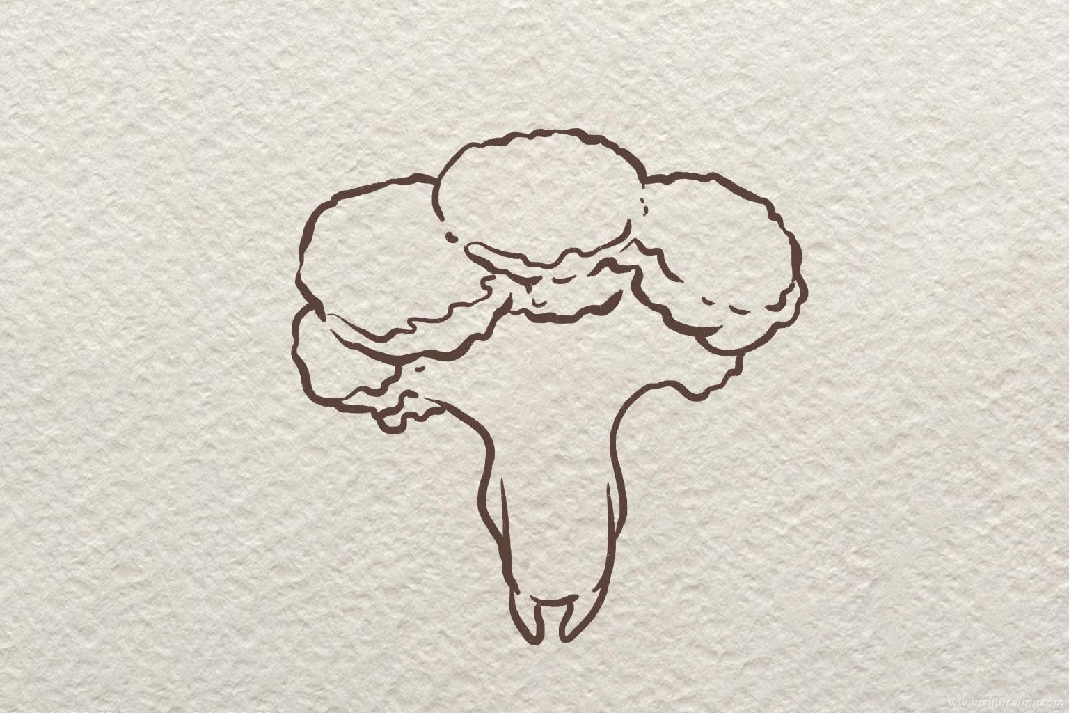 可爱的卡通西兰花简笔画绘画上色教程