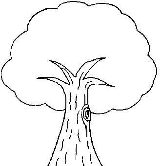 大树简笔画图片大全 大树简笔画图片大全大图