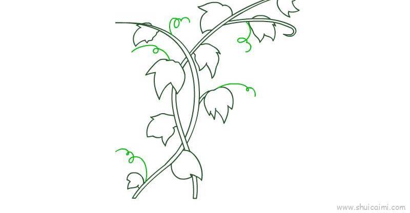 藤蔓儿童画怎么画 藤蔓简笔画图片
