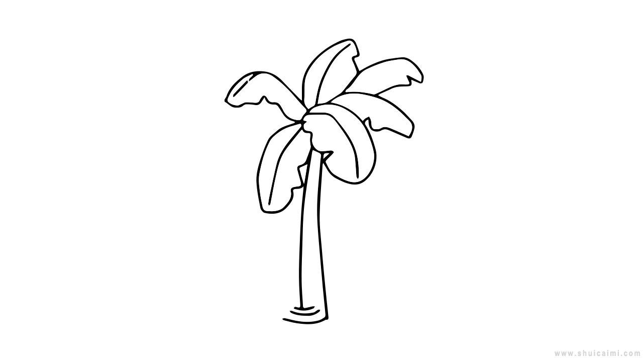 香蕉树简笔画怎么画 香蕉树简笔画顺序