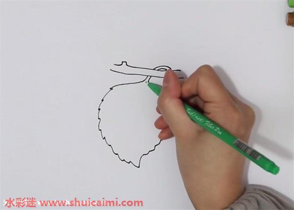 桑叶怎么画 桑叶简笔画步骤图