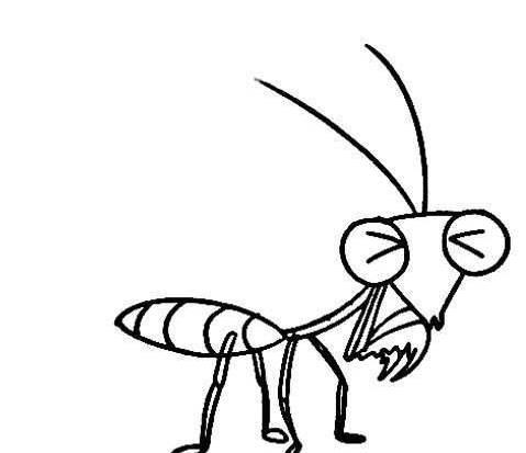 螳螂简笔画 螳螂简笔画简单