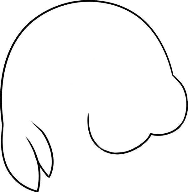 哭泣的海狮简笔画怎么画 哭泣的海狮简笔画步骤