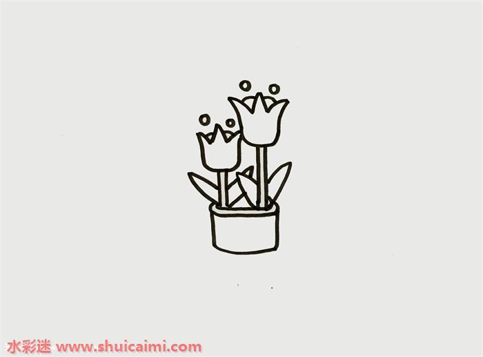 盆栽郁金香怎么画 盆栽郁金香简笔画步骤