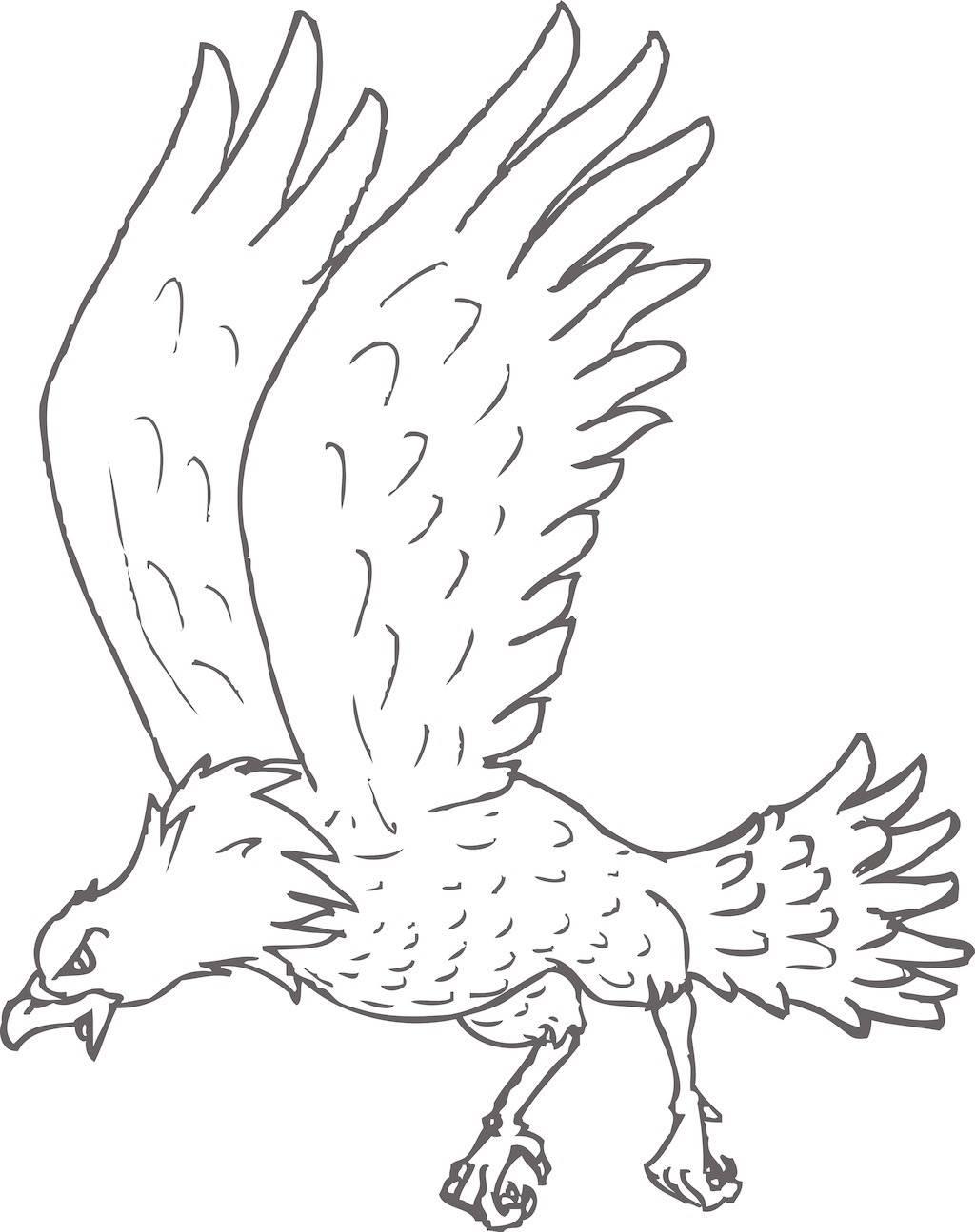 鹰简笔画图片大全 鹰简笔画图片大全霸气