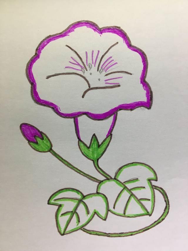 喇叭花简笔画 喇叭花简笔画图片大全