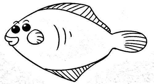 鱼的简笔画法 梭子鱼的简笔画法