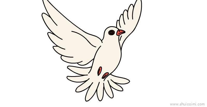 和平鸽儿童画怎么画 和平鸽简笔画简单又好看
