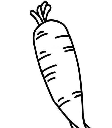 胡萝卜的简笔画 小兔子抱着胡萝卜的简笔画