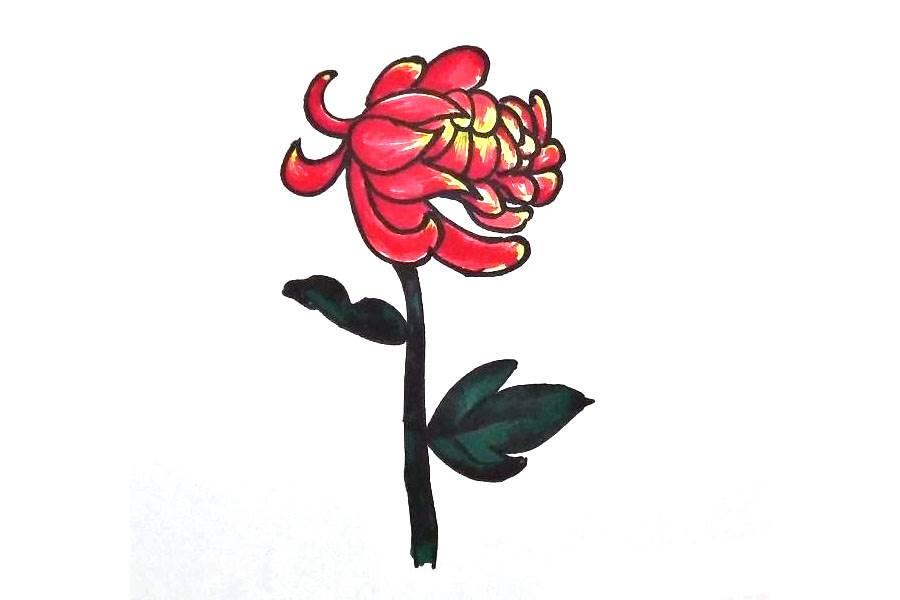 菊花叶子简笔画 菊花叶子简笔画图片