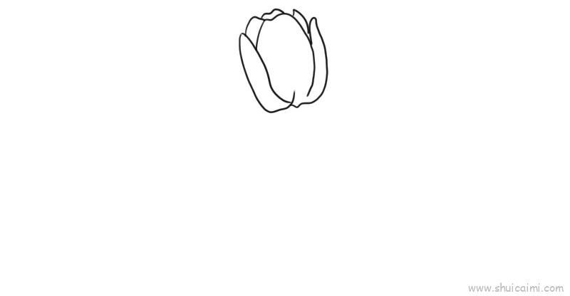 郁金香儿童画怎么画 郁金香简笔画顺序