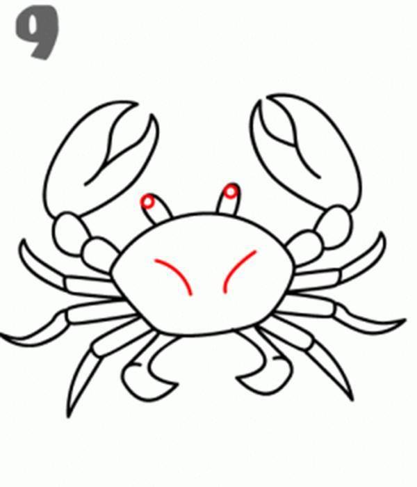 海洋生物简笔画 海洋生物简笔画彩色