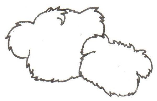 考拉爸爸和宝宝的简笔画怎么画 考拉爸爸和宝宝的简笔画图片大全