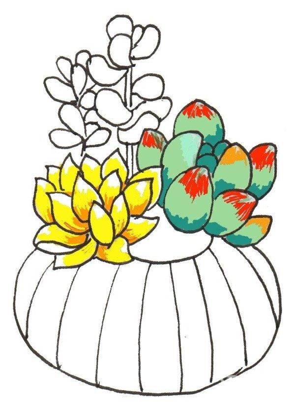 多肉的简笔画怎么画 多肉的简笔画图片
