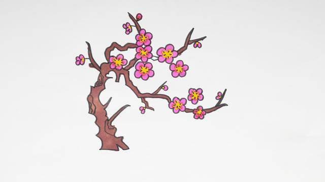 腊梅简笔画图片 腊梅简笔画彩色