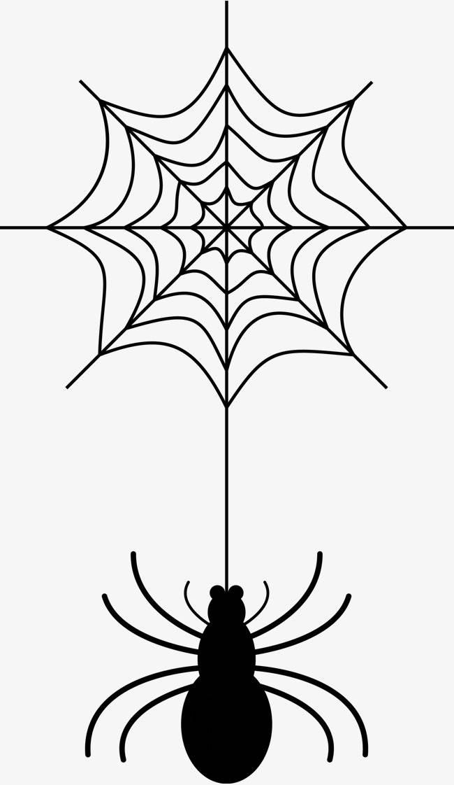 蜘蛛简笔画图片大全 儿童蜘蛛简笔画图片大全