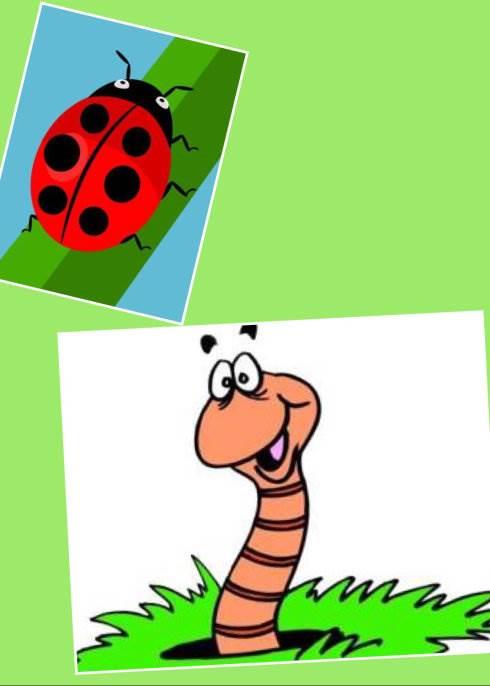 蚯蚓简笔画 蚯蚓简笔画彩色