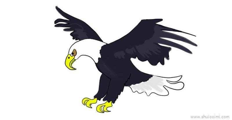 鹰儿童画怎么画 鹰简笔画简单