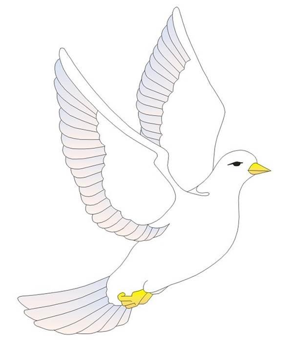 和平鸽简笔画 和平鸽简笔画涂色
