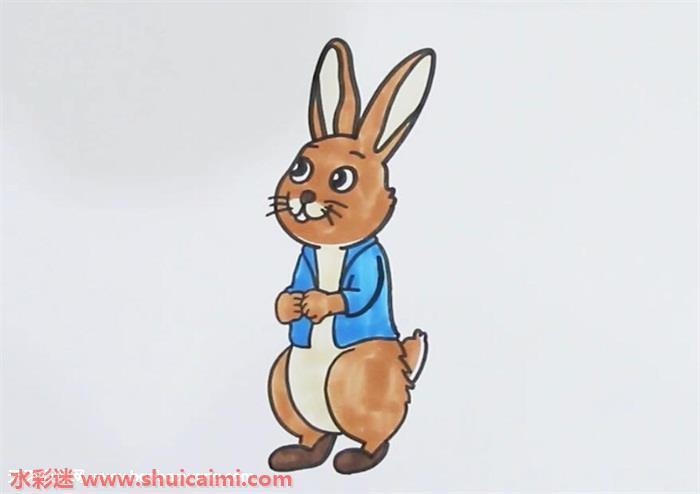 彼得兔怎么画 彼得兔简笔画步骤