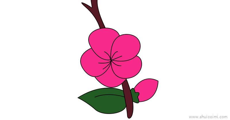 梅花教程儿童画怎么画 梅花教程简笔画步骤