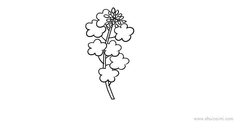 菜花儿童画怎么画 菜花简笔画好看