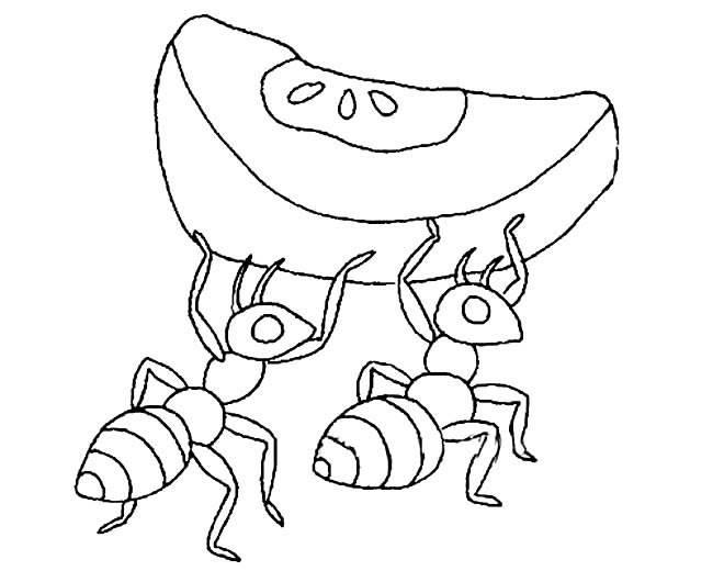 小蚂蚁简笔画 小蚂蚁简笔画彩色