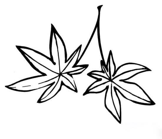 树叶的简笔画 树叶的简笔画简单又漂亮