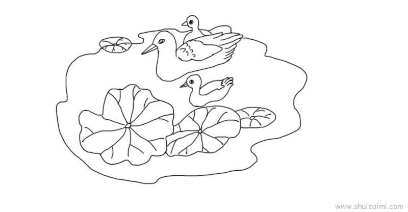 池塘里的小鸭简笔画绘画教学