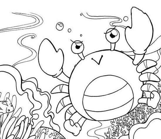 海底小动物简笔画 海底小动物简笔画图片
