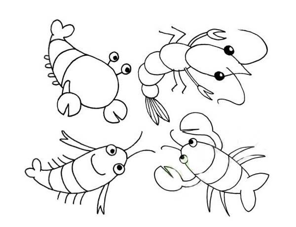 虾简笔画 虾简笔画图片