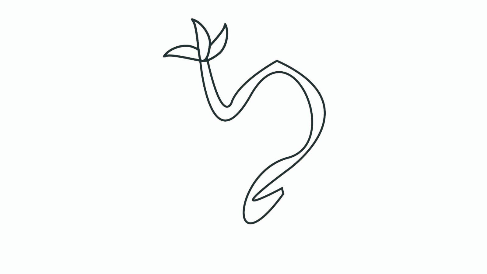 藤蔓的简笔画怎么画 藤蔓简笔画画法