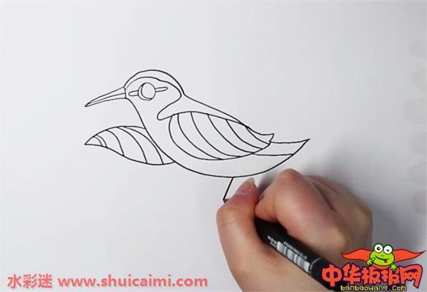 杜鹃鸟怎么画 杜鹃鸟简笔画步骤