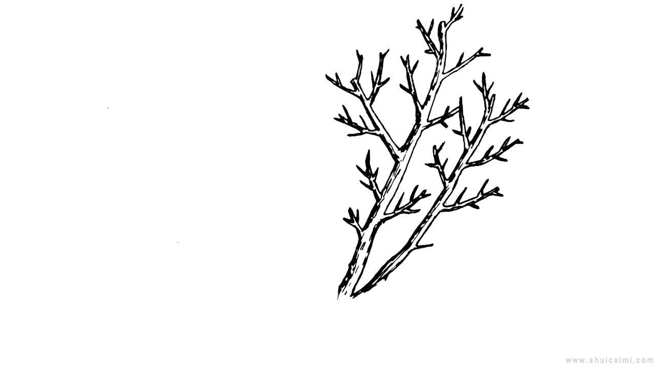 杏树简笔画怎么画 杏树简笔画画法