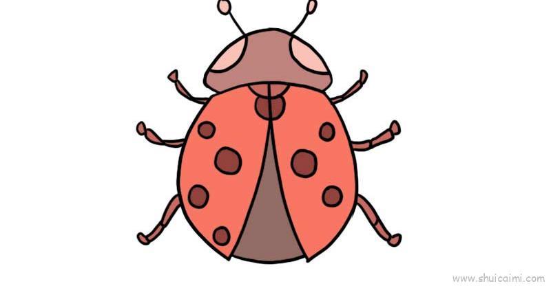 七星瓢虫儿童画怎么画 七星瓢虫简笔画步骤