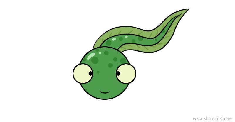 蝌蚪儿童画怎么画 蝌蚪简笔画图片