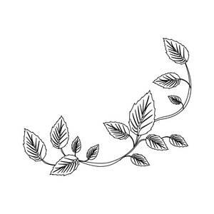 爬山虎简笔画 爬山虎简笔画图片大全大图