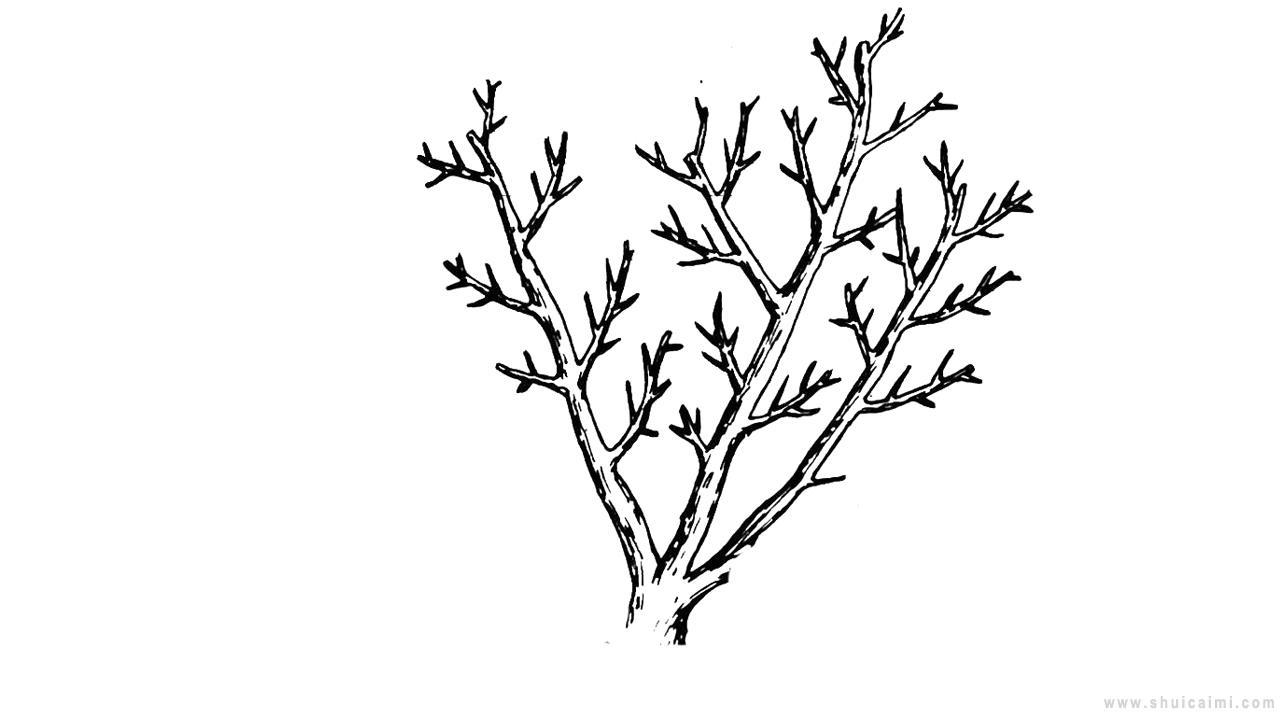 杏树简笔画怎么画 杏树简笔画画法
