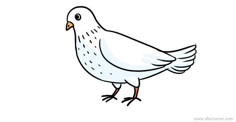 白鸽儿童画怎么画 白鸽简笔画图片