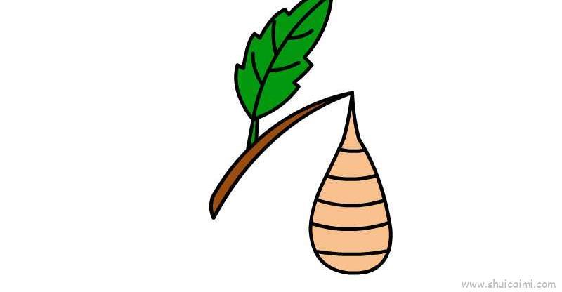 蜂巢儿童画怎么画 蜂巢简笔画简单