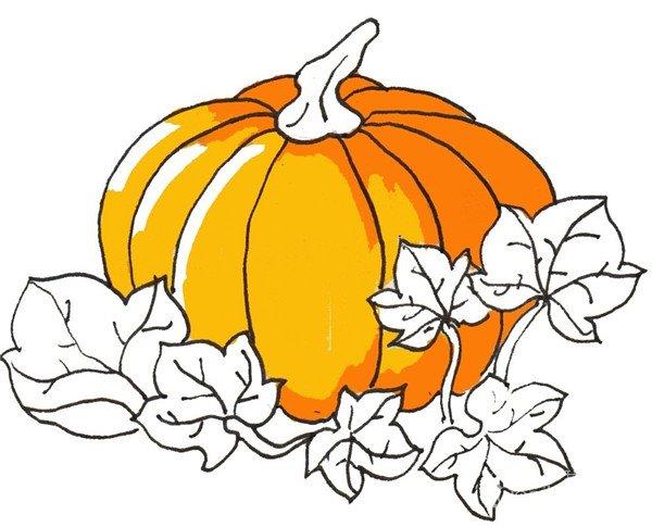 南瓜的简笔画怎么画 南瓜的简笔画顺序