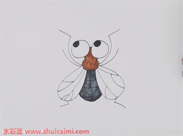 苍蝇怎么画 苍蝇简笔画简单好看带颜色