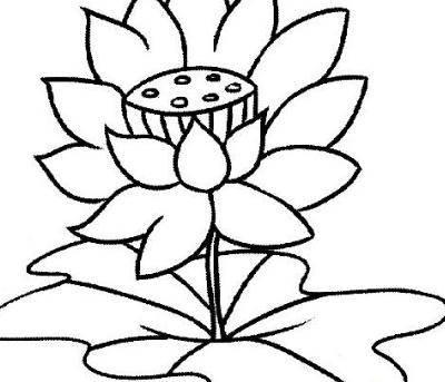 植物简笔画 植物简笔画大全花草树木