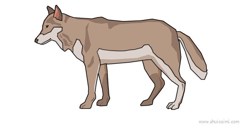 狼儿童画怎么画 狼简笔画顺序