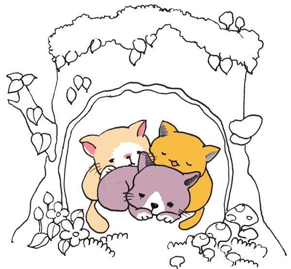 树洞里的猫咪的简笔画怎么画 树洞里的猫咪的简笔画顺序