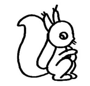松鼠头简笔画图片大全 松鼠头简笔画图片大全彩色