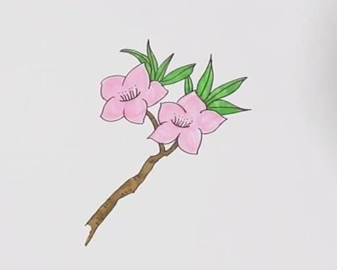 桃花简笔画 桃花简笔画彩色